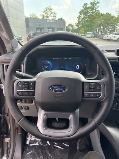 2025 Ford F-150 Lightning Flash™