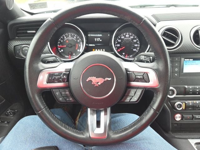 2019 Ford Mustang EcoBoost