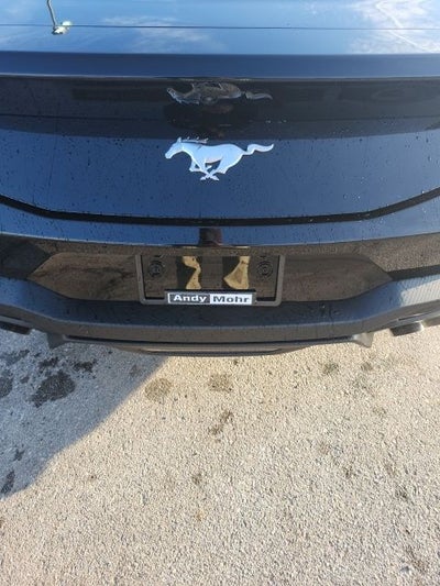 2026 Ford Mustang EcoBoost