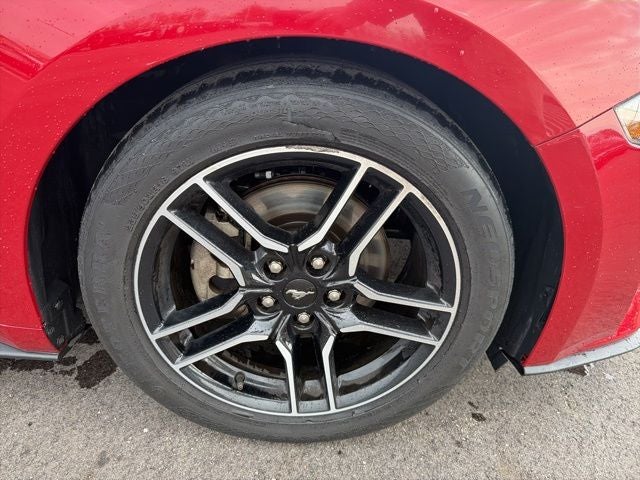 2021 Ford Mustang EcoBoost