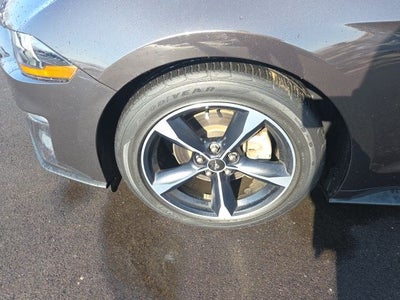 2023 Ford Mustang EcoBoost