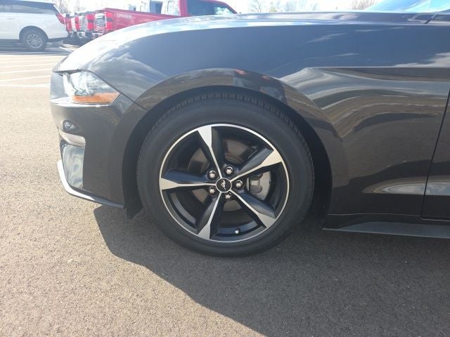 2023 Ford Mustang EcoBoost