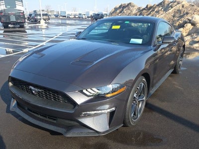 2023 Ford Mustang EcoBoost