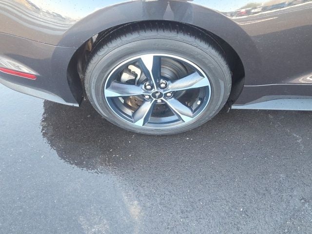 2023 Ford Mustang EcoBoost