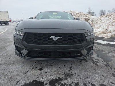 2024 Ford Mustang EcoBoost