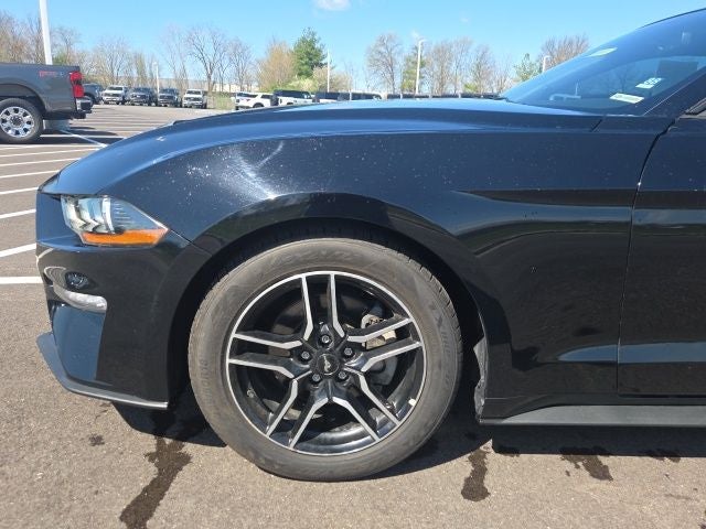 2019 Ford Mustang EcoBoost