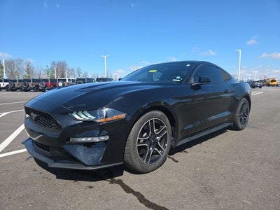 2019 Ford Mustang EcoBoost