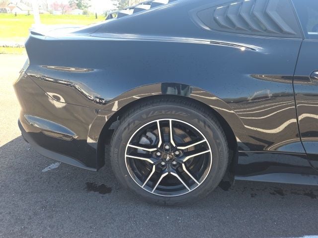 2019 Ford Mustang EcoBoost