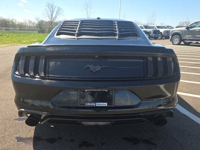 2019 Ford Mustang EcoBoost