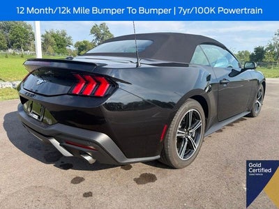 2025 Ford Mustang EcoBoost