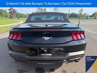 2025 Ford Mustang EcoBoost