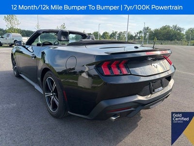 2025 Ford Mustang EcoBoost