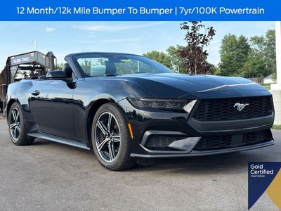 2025 Ford Mustang EcoBoost