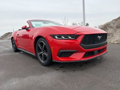 2024 Ford Mustang EcoBoost Premium