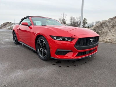 2024 Ford Mustang EcoBoost Premium