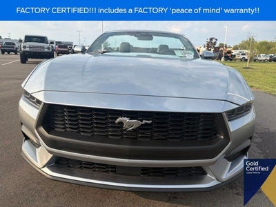 2025 Ford Mustang EcoBoost Premium