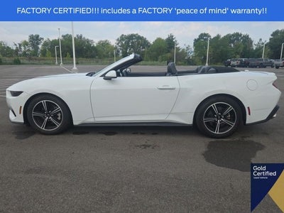 2025 Ford Mustang EcoBoost Premium