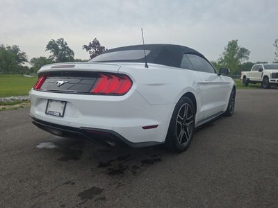 2019 Ford Mustang EcoBoost Premium