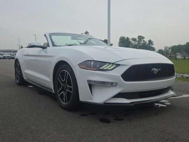 2019 Ford Mustang EcoBoost Premium