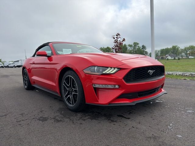 2020 Ford Mustang EcoBoost Premium Convertible's photo