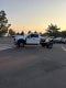2027 Ford F-550 XL DRW