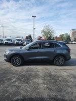2026 Ford Escape Plug-In Hybrid Base