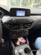 2020 Ford Escape S