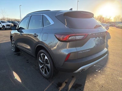 2023 Ford Escape Platinum