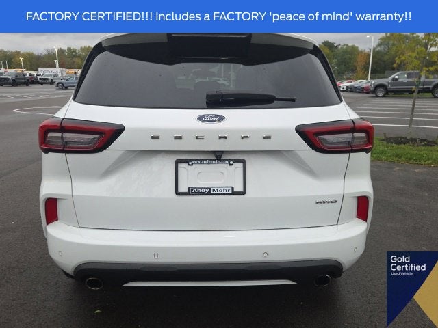 2023 Ford Escape ST-Line