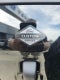 2026 Ford Bronco Big Bend Custom Matte Black pkg