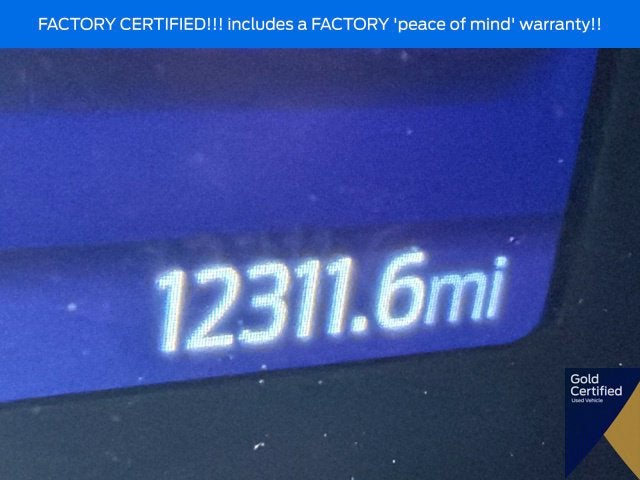 2024 Ford Bronco Everglades