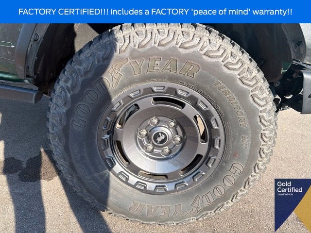 2024 Ford Bronco Everglades