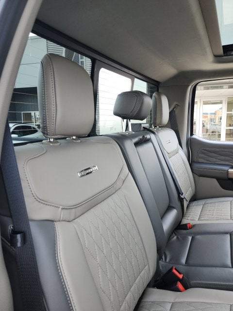 2027 Ford F-250 F-250® Platinum®