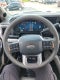 2027 Ford F-250 F-250® Platinum®