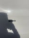 2027 Ford Transit-350 Base