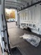 2027 Ford Transit-350 Base