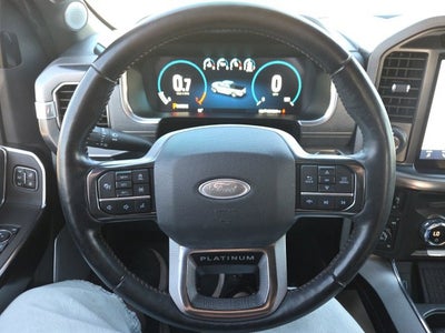 2021 Ford F-150 Platinum