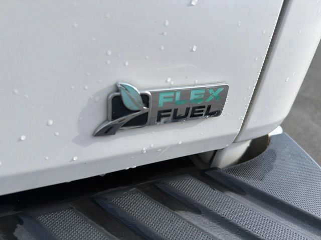 2010 Ford F-150 Platinum
