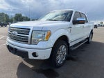 2010 Ford F-150 Platinum
