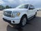 2010 Ford F-150 Platinum