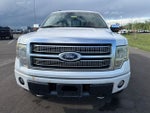2010 Ford F-150 Platinum