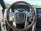 2010 Ford F-150 Platinum