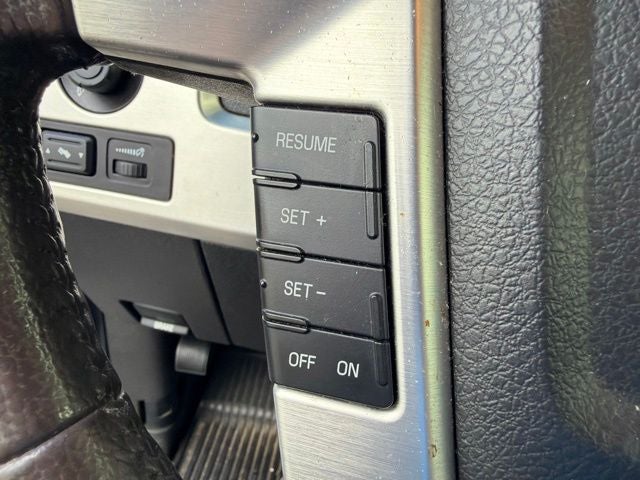 2010 Ford F-150 Platinum