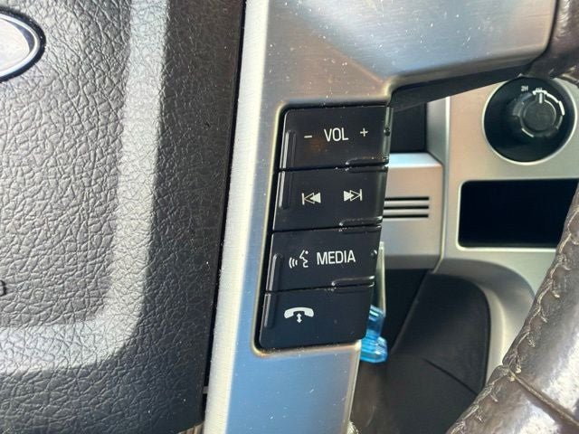 2010 Ford F-150 Platinum