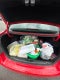 2016 Chevrolet Cruze Limited 1LT