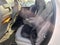 2010 GMC Acadia SLT-1