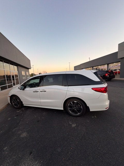 2024 Honda Odyssey Elite