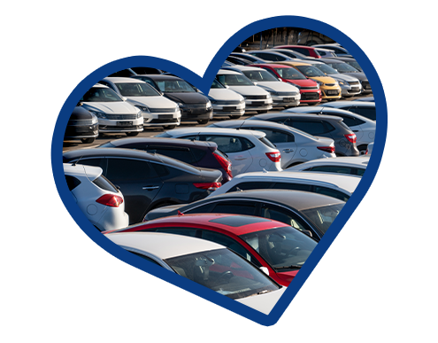 Mohr Selection Heart