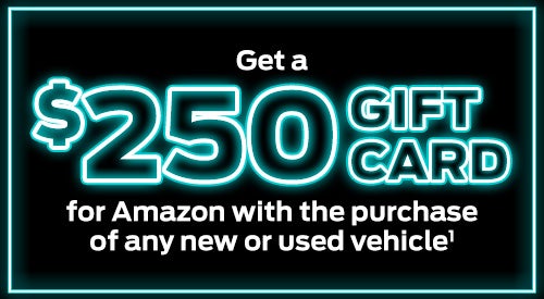 Black Friday Offer