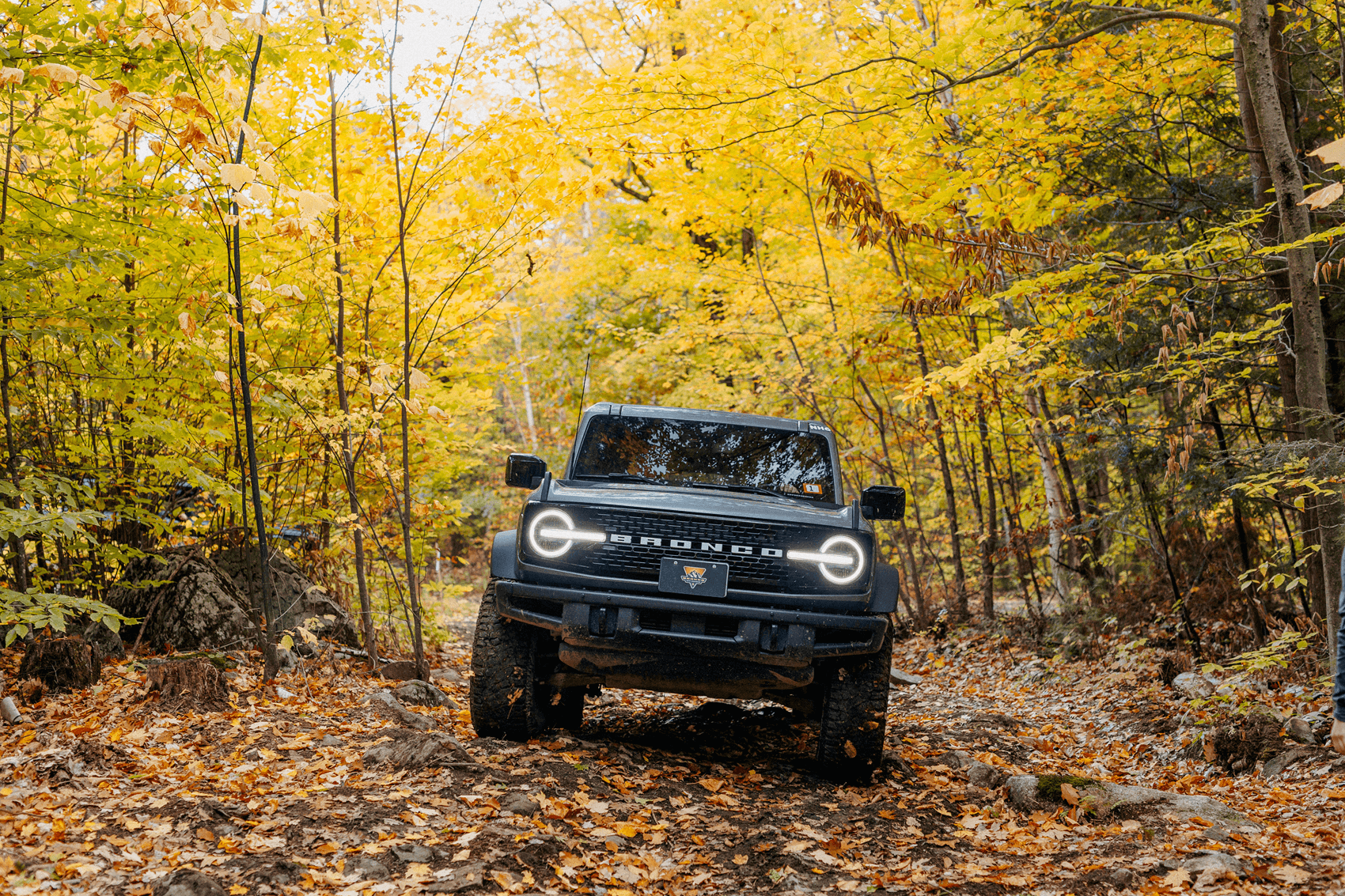 Ford Bronco for Sale&nbsp;near Avon&nbsp;IN